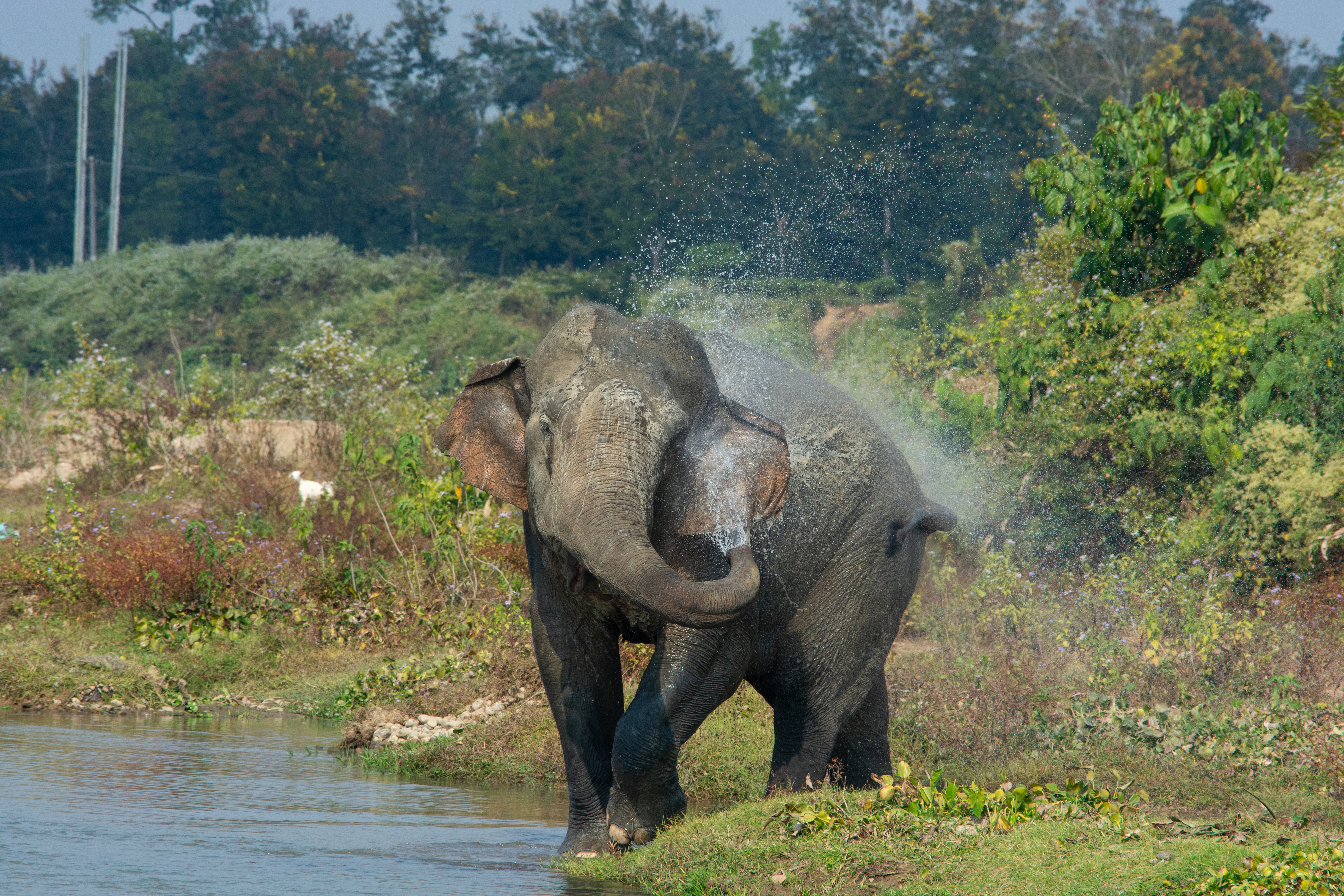 Knowledge Generation